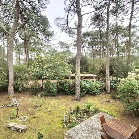 Villa Landaise Longarisse *